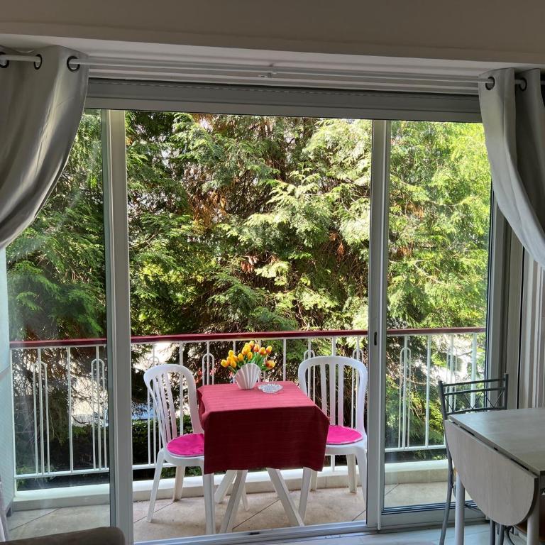 Cros de Cagnes, apartment with the Best Location - Apartment mit 1 Schlafzimmer - 8