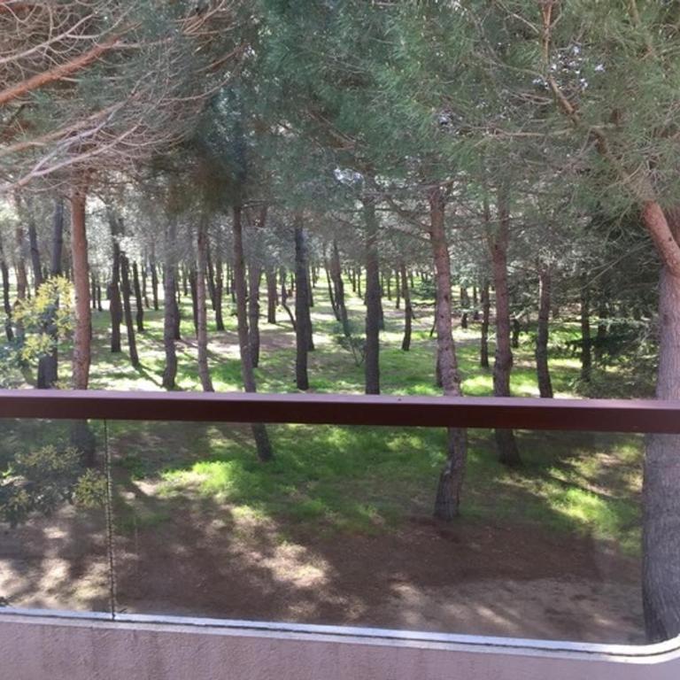 Appartement cosy avec clim - 4 pers., proche plage - FR-1-837-117 - Appartement - 10