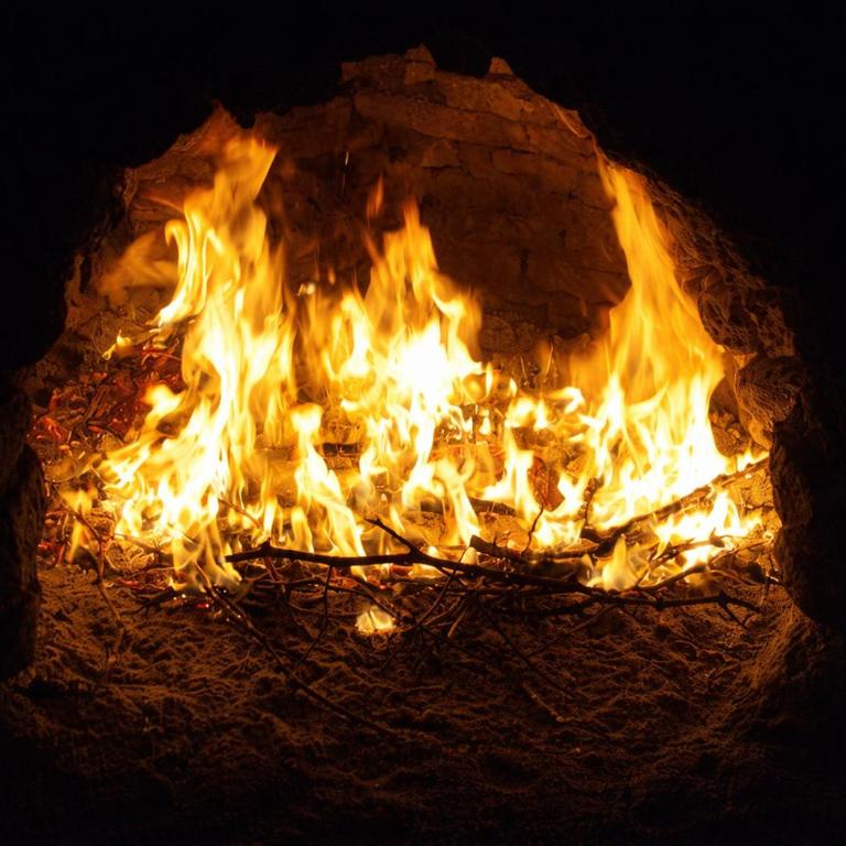 Finca La Nelly, Casa de campo 7 hectáreas de viñedo, vista a las montañas a metros del Rio Atuel - Casa Vacacional de 3 dormitorios - 14