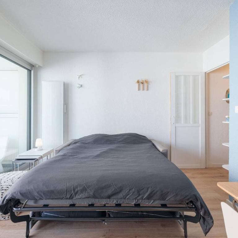 Appartement centre-ville, animaux OK - FR-1-821-57 - Studio - 2