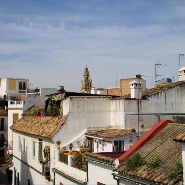 Casa Califa - Apartamento de 1 dormitorio - 17