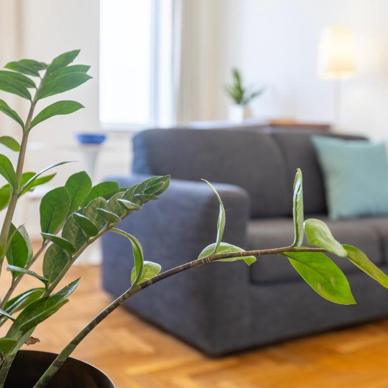 RelaisApartments PORTO - Appartamento con 1 Camera da Letto - 16