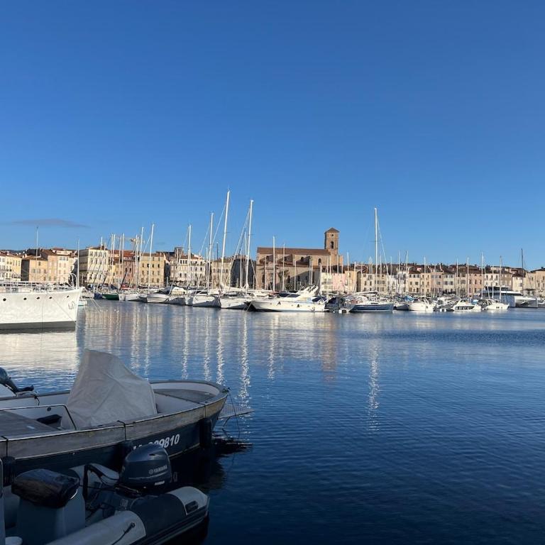 Agréable T2, plein centre, calme - One-Bedroom Apartment - 10