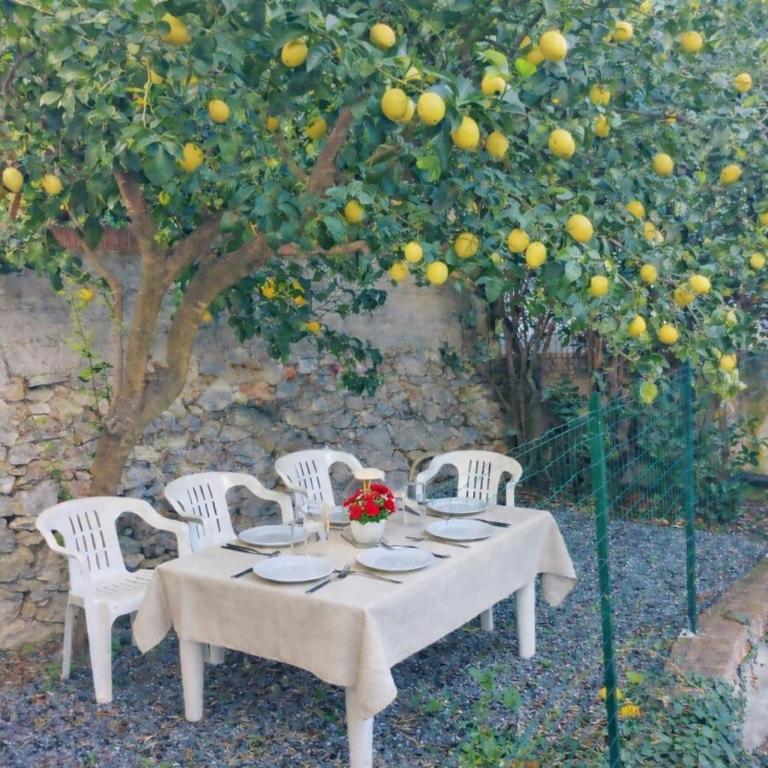 Cottage Sea & Land: (apt. Relax o apt. Sweet Love) - Appartamento con Vista Giardino - 32