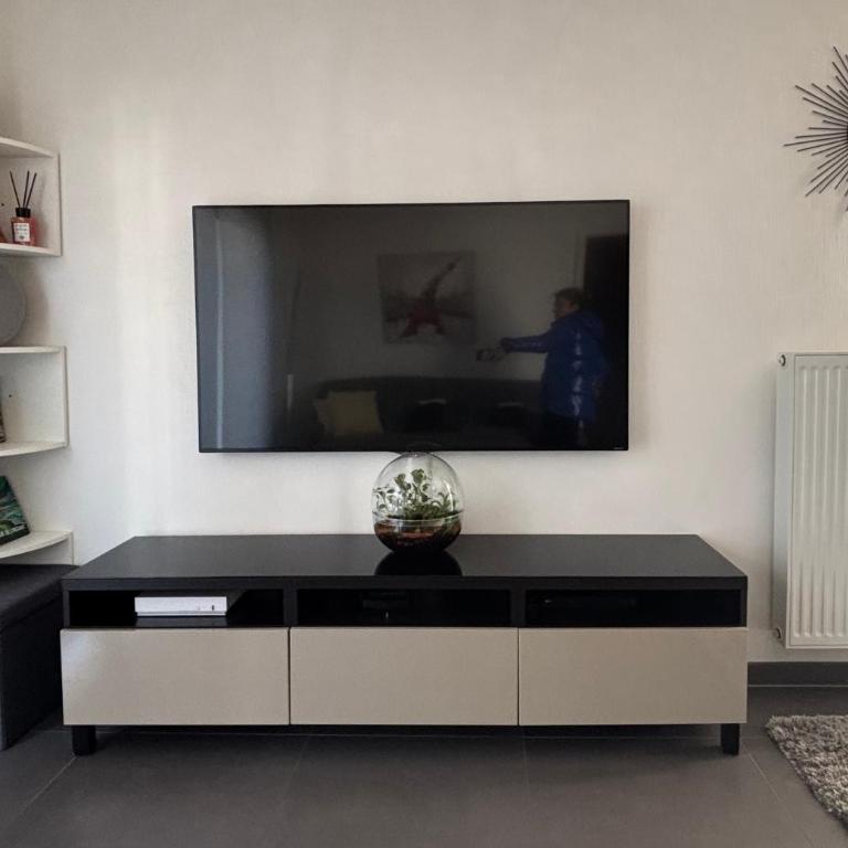 Robertsau, jardin en ville - One-Bedroom Apartment - 7
