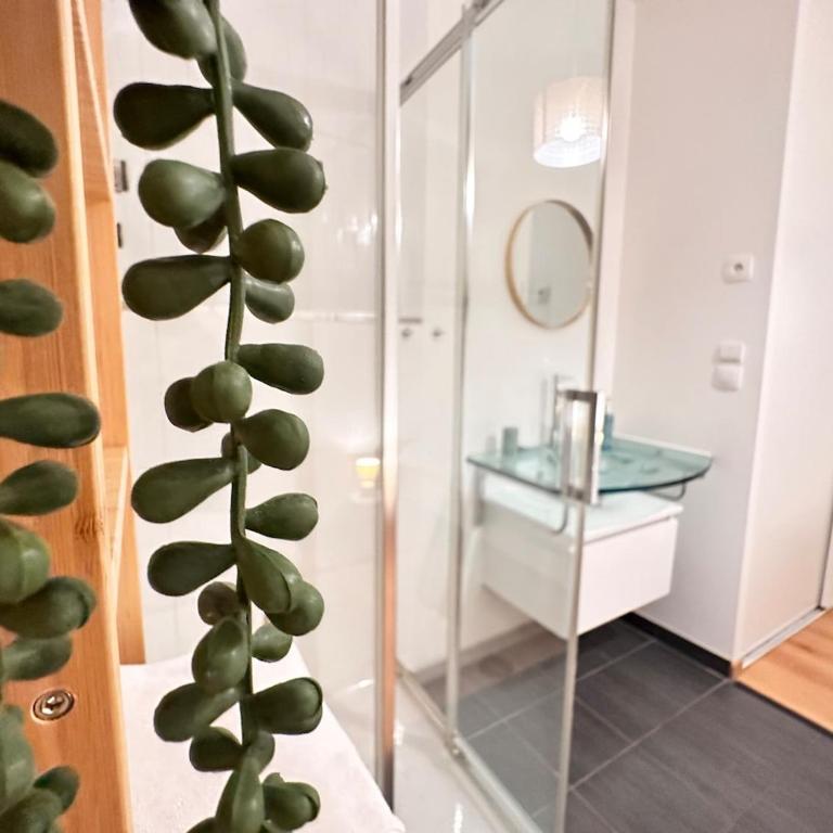 Thomas cocon paisible proche centre ville - Apartment mit 1 Schlafzimmer - 11