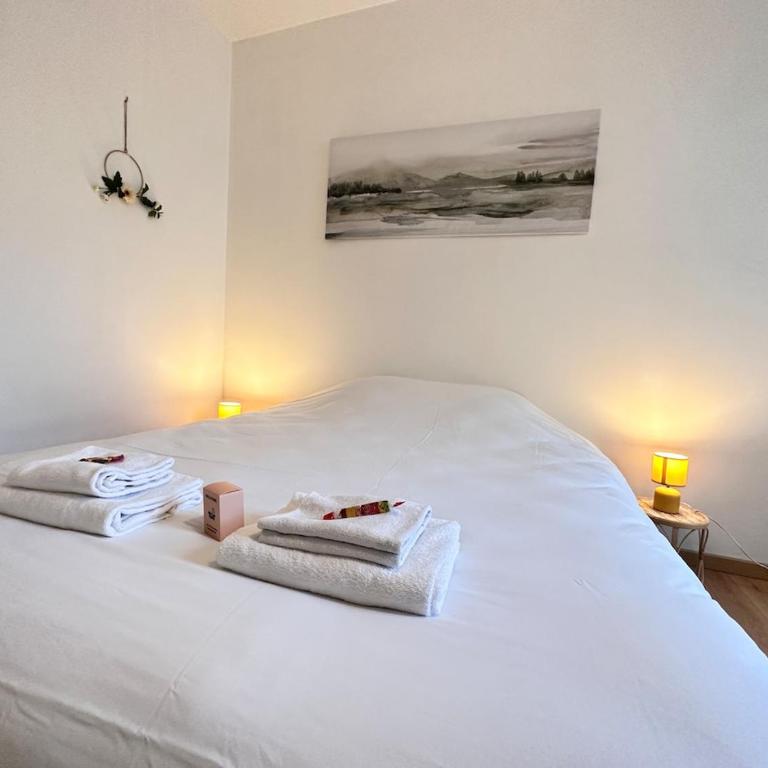 Thomas cocon paisible proche centre ville - Apartment mit 1 Schlafzimmer - 14