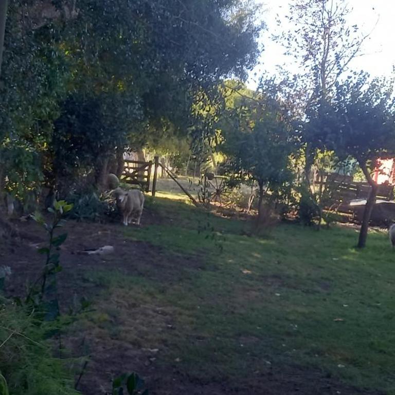 Los talas - Casa de 3 dormitorios - 2