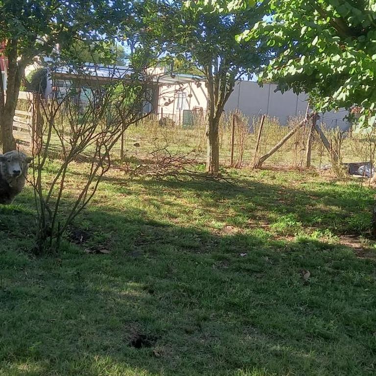 Los talas - Casa de 3 dormitorios - 11
