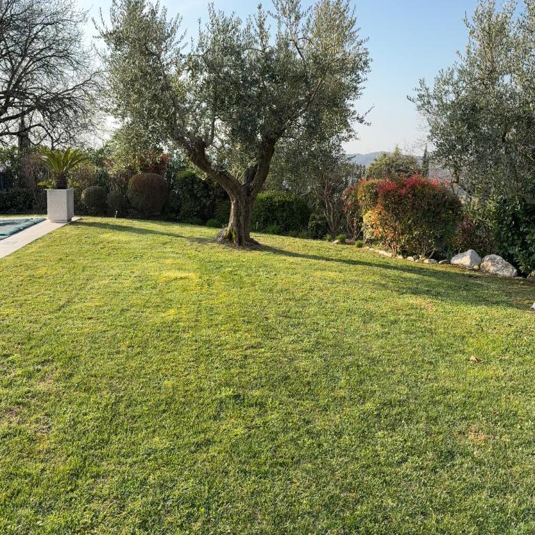 Casa Girasole - entire villa with pool - Villa mit privatem Pool - 16