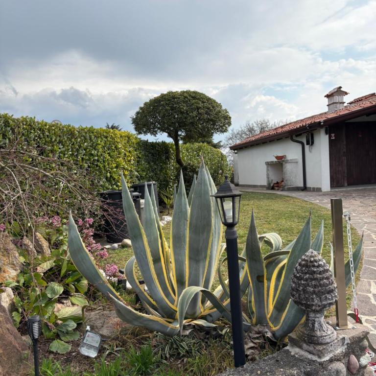 Casa Girasole - entire villa with pool - Villa mit privatem Pool - 6
