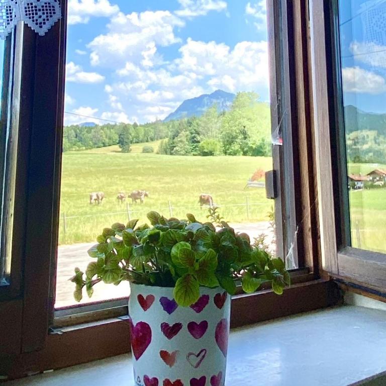 Ferienwohnung Pusteblume - Apartment mit 2 Schlafzimmern - 13