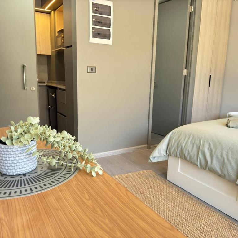 Elegant apartment in Movistar Arenas, Parque OHiggins - Apartamento de 1 dormitorio - 6
