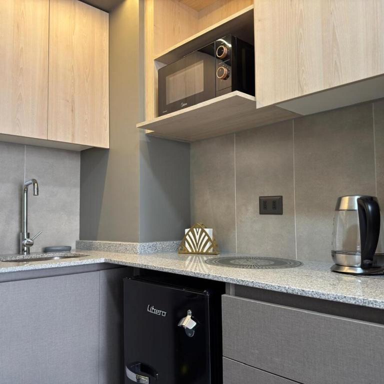 Elegant apartment in Movistar Arenas, Parque OHiggins - Apartamento de 1 dormitorio - 14