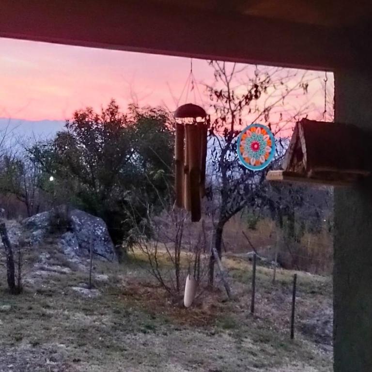 La Madriguera - Apartamento de 1 dormitorio - 5