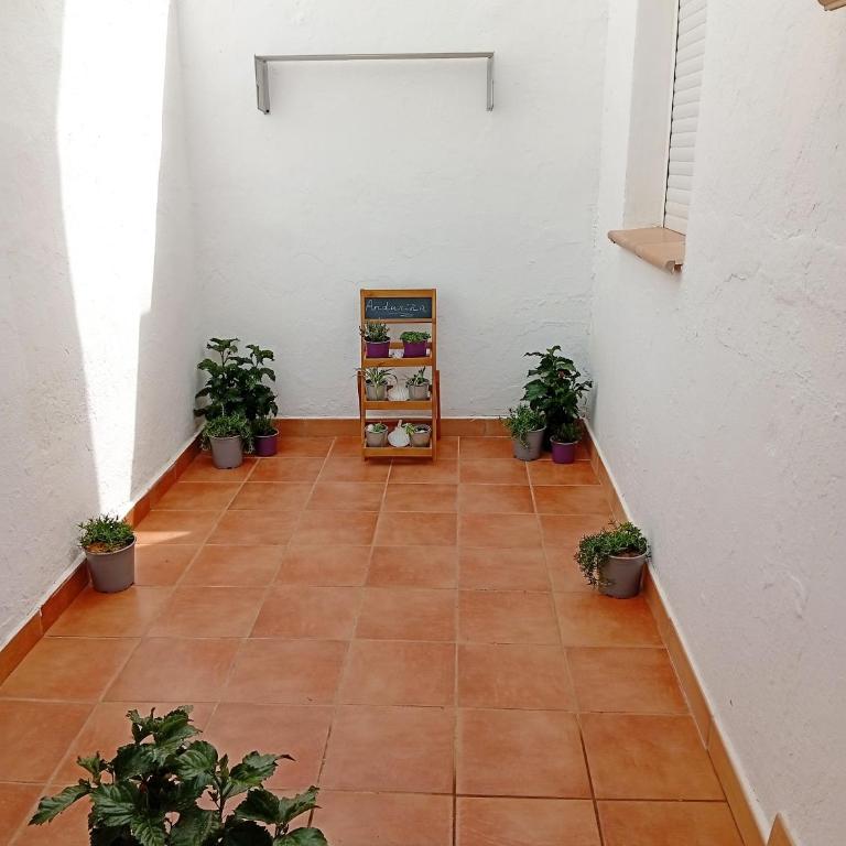 Sus mejores vacaciones en La Cala de Mijas - Casa de 4 dormitorios - 11