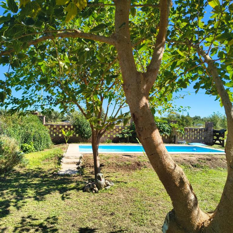 Cabaña Mitimay - Two-Bedroom Apartment - 9