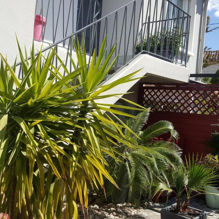 Appartement lumineux avec jardin privatif - Two-Bedroom Apartment - 16