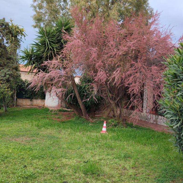 House in Garden - Two-Bedroom House - 1