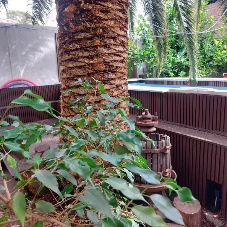 Loft Salta - Apartamento de 2 dormitorios - 13