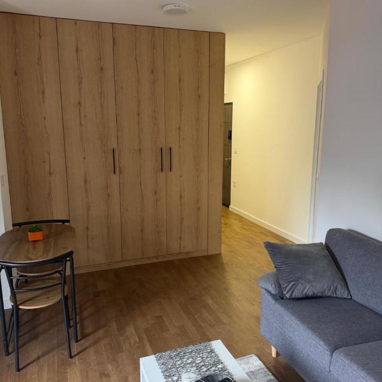 Jovanovic stan na dan - Apartman sa 1 Spavaćom Sobom - 2
