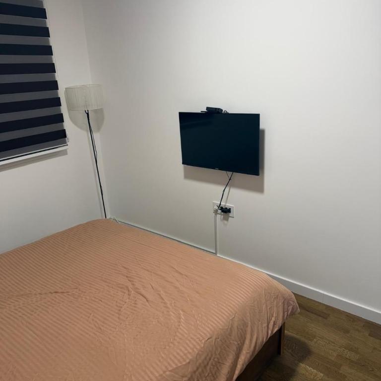Jovanovic stan na dan - Apartman sa 1 Spavaćom Sobom - 6