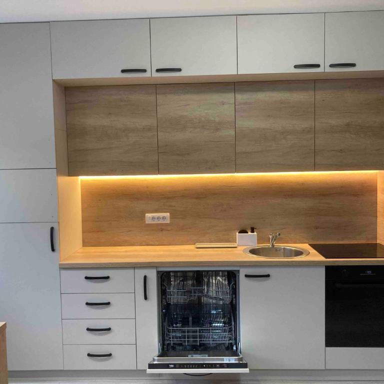 Apartman Dara - Novi Beograd - Apartman sa 1 Spavaćom Sobom - 3