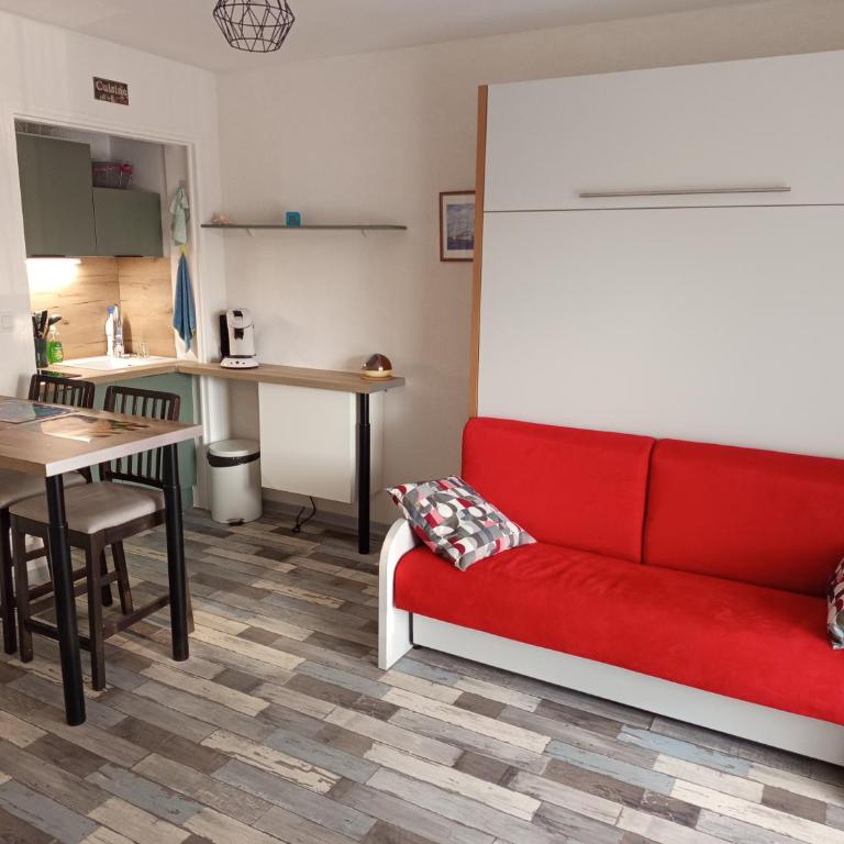 Studio rénové avec balcon et vue dégagée - Apartment mit 1 Schlafzimmer - 1