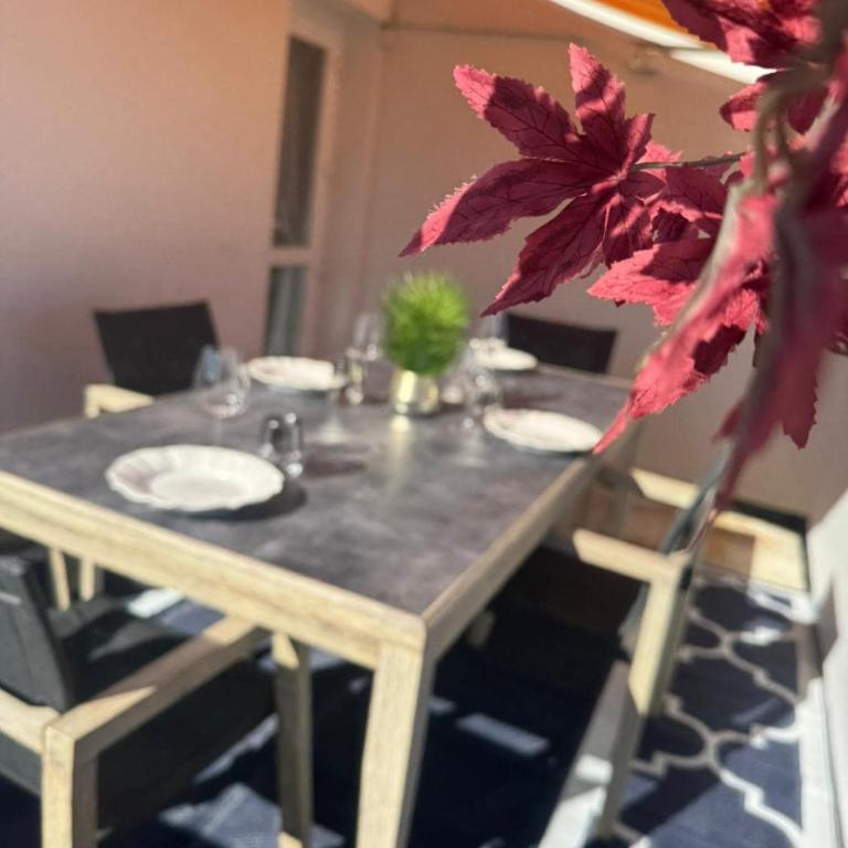 Arcachon Terrace in full sun - Appartement 2 Chambres - 5