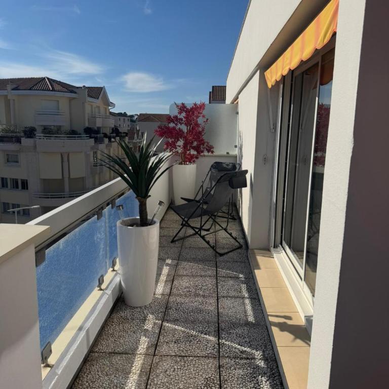 Arcachon Terrace in full sun - Appartement 2 Chambres - 7