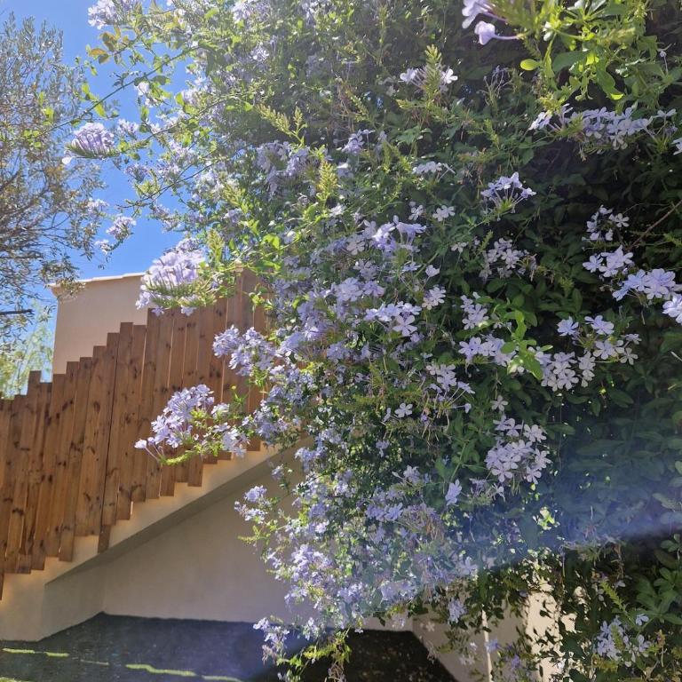 Appartement 4 personnes - 2 chambres - avec jardin privatif - Appartamento con 2 Camere da Letto - 12