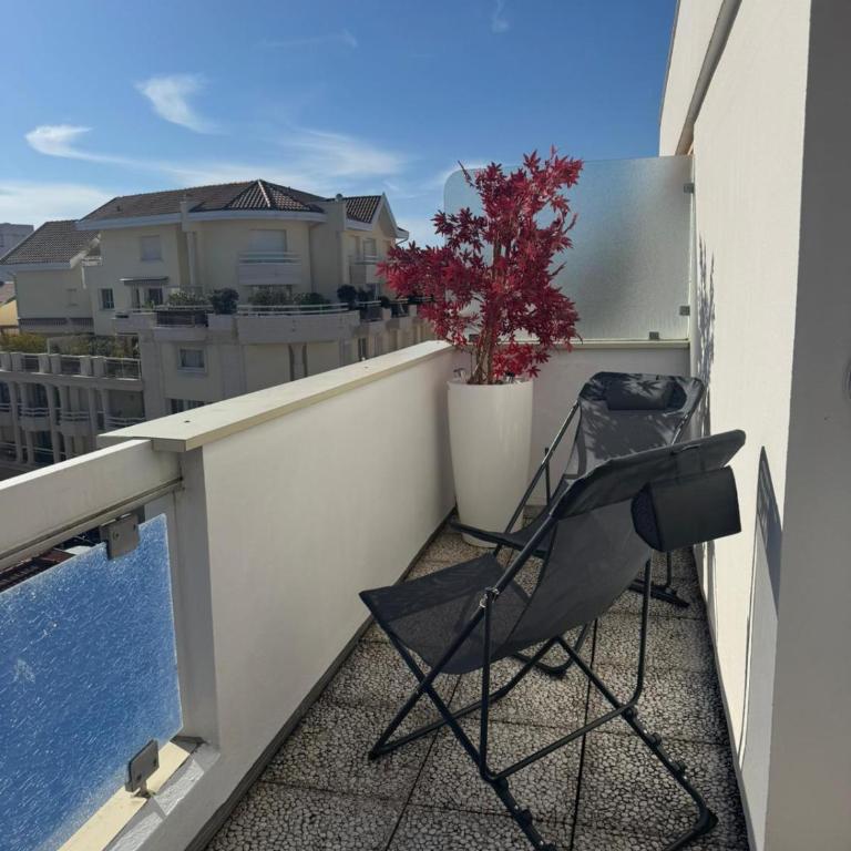 Arcachon Terrace in full sun - Appartement 2 Chambres - 31