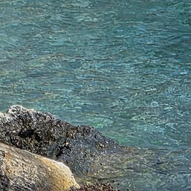 La Casetta di Camelia - Appartamento con 2 Camere da Letto - 57