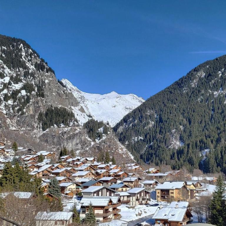 L'Estive en Vanoise, Gite tout confort 6-10 pers, Cœur de station, Terrasse panoramique - Appartement de Grand Standing 4 Chambres - 54