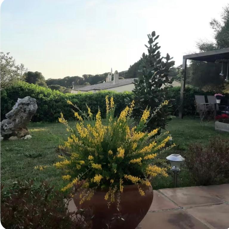 Apartamento con jardín privado - Apartment - Ground Floor - 4
