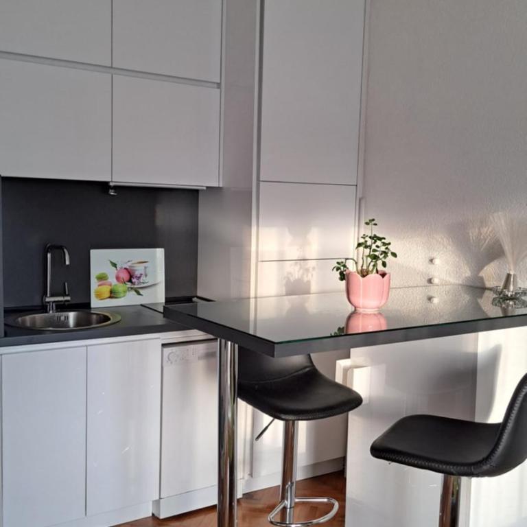 Nina Apartment - CENTRAL STATION - Apartman sa 1 Spavaćom Sobom - 3