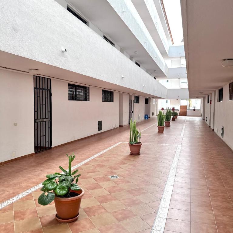 Sunny Escape in Los Cristianos - Apartamento de 1 dormitorio - 20