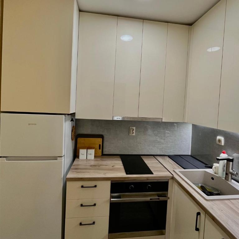 Budva Apartment - Apartman sa 1 Spavaćom Sobom - 4