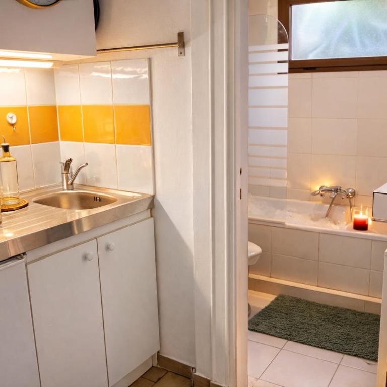 Studio cosy avec terrasse et jardin VAUBAN - Apartment mit 1 Schlafzimmer - 8