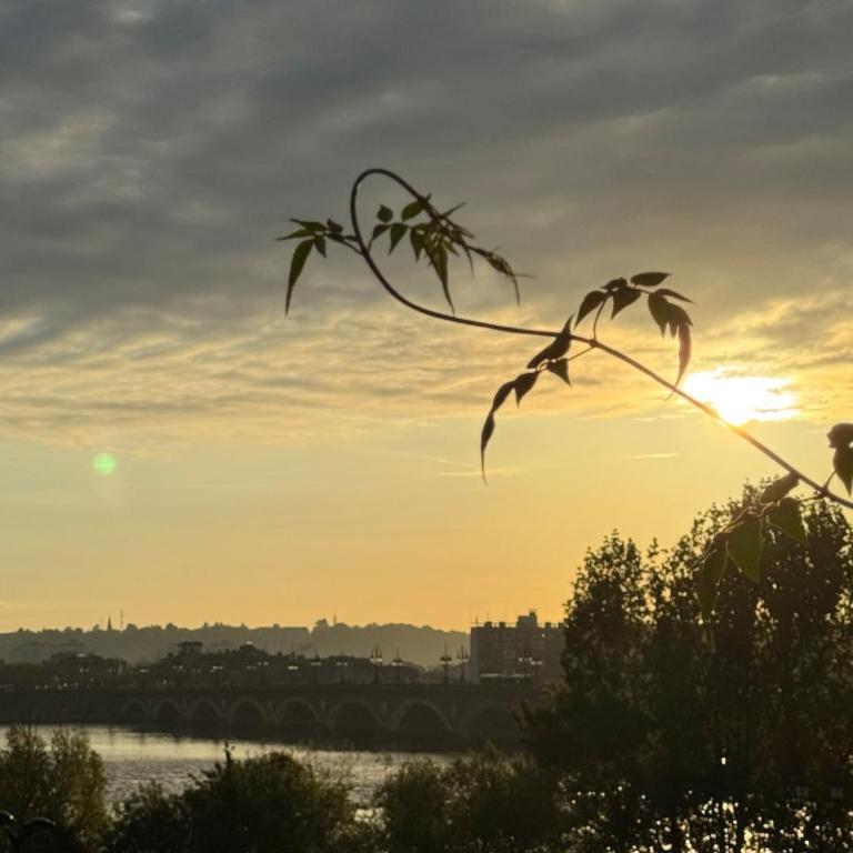 Les Savournins Bordeaux - Garonne - Appart Privé - Apartment mit 1 Schlafzimmer - 27