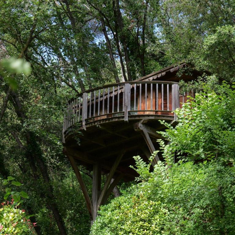 Orion Treehouses - Chalet de 1 dormitorio - 1