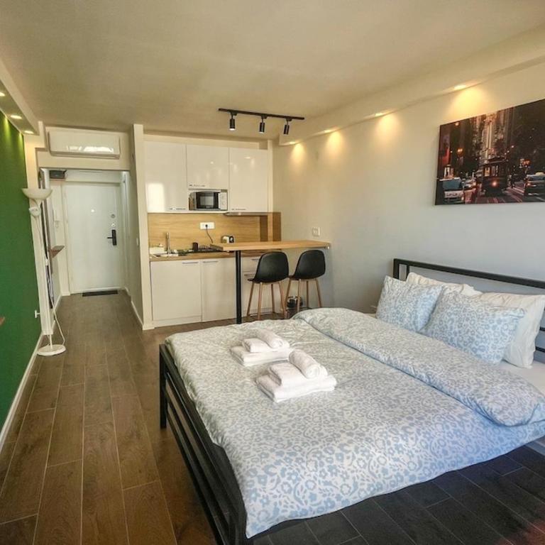 Apartment Vuk 15 min walk to Knez Mihajlova - Apartman sa 1 Spavaćom Sobom - 1