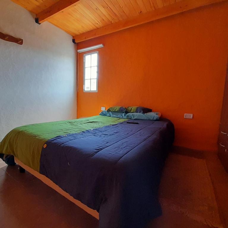 La gringa - Casa de 5 dormitorios - 14