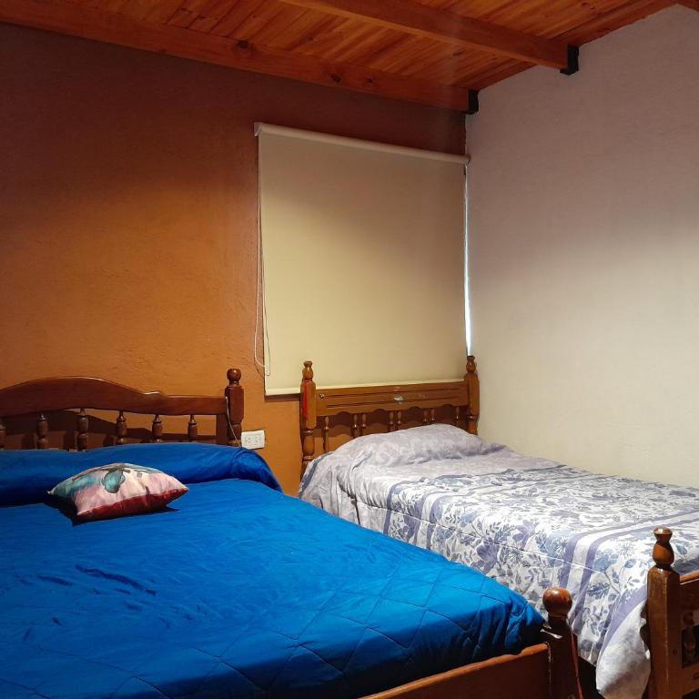 La gringa - Casa de 5 dormitorios - 15