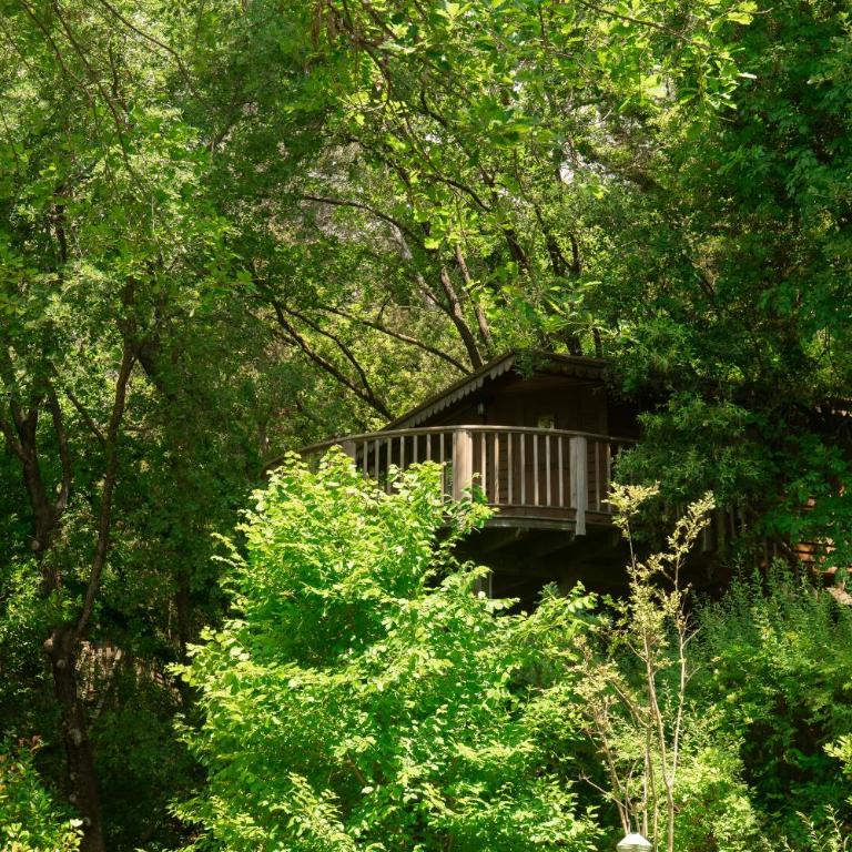 Orion Treehouses - Chalet de 1 dormitorio - 6