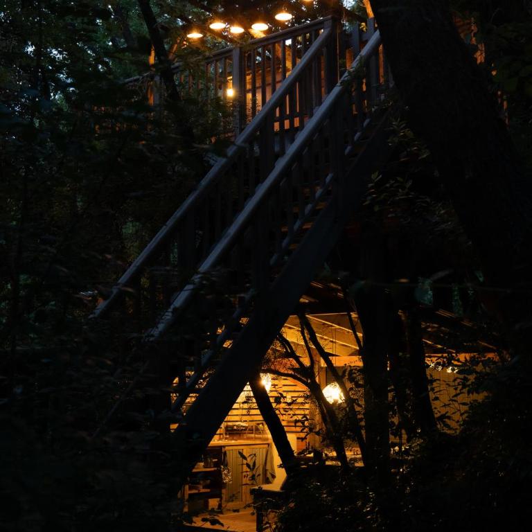 Orion Treehouses - Habitación Familiar con baño - 1