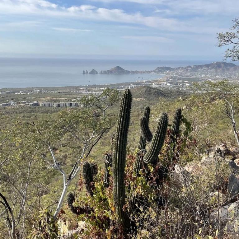 Cabo Ocean View Villa 4BR, 50ft Pool, Hot Tub - Villa con vistas al mar - 34