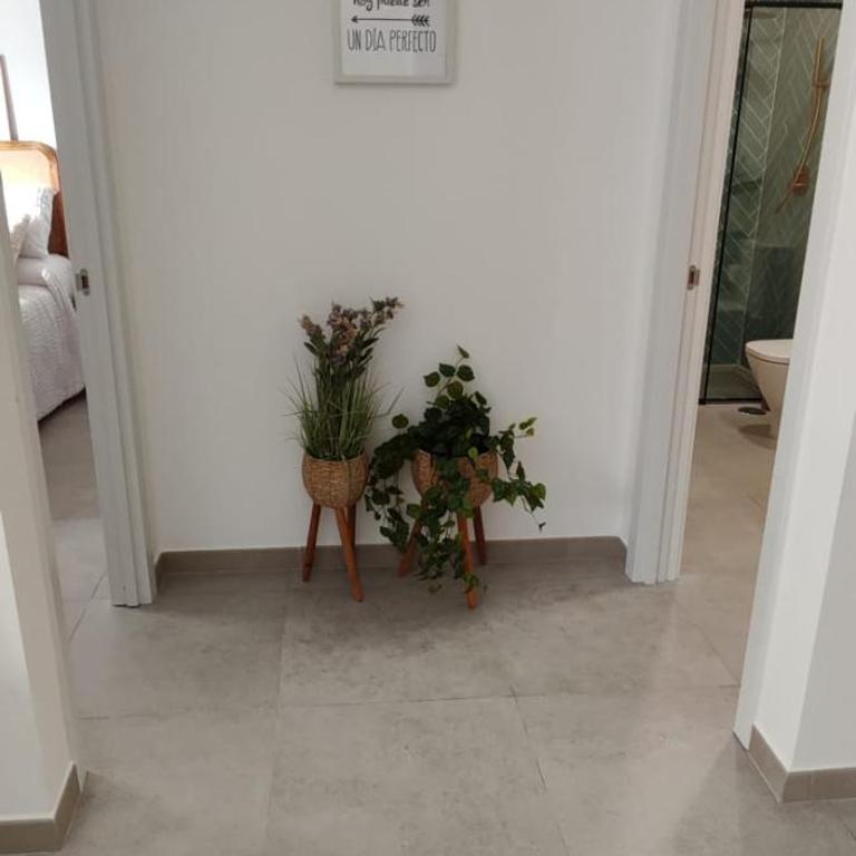 Cuype House Sevilla - A - Apartamento de 1 dormitorio - 8