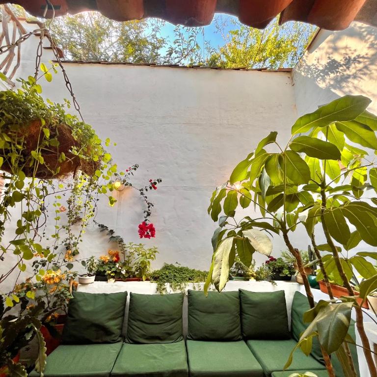 Casa Quintanilla Barichara - Double Room with Park View - 5