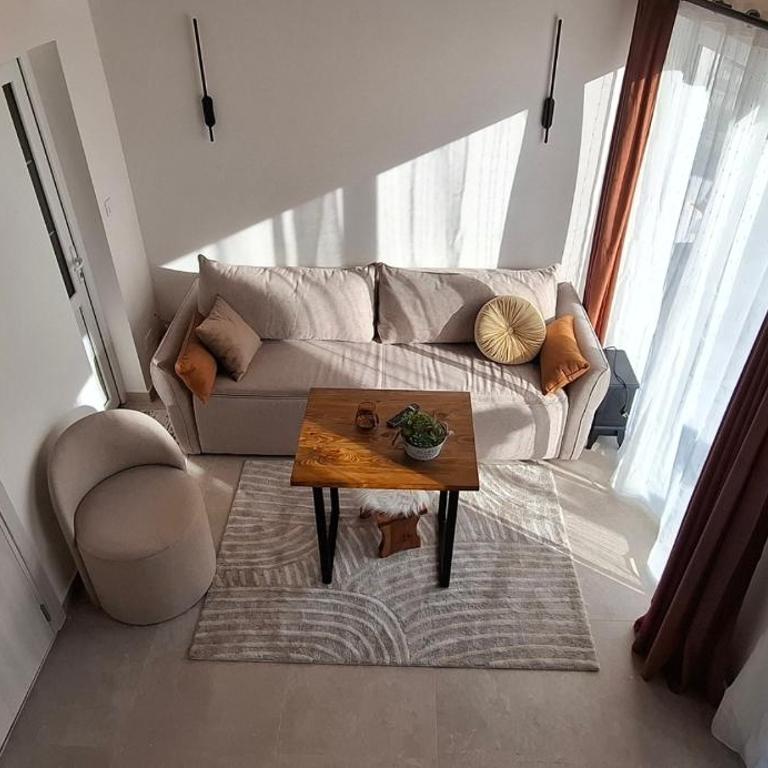 Vujosevic D - Apartment - 13
